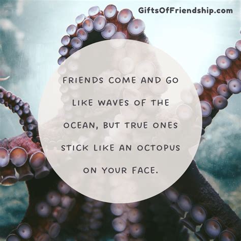 85 Hilarious Quotes About Crazy Friends Ts Of Friendship