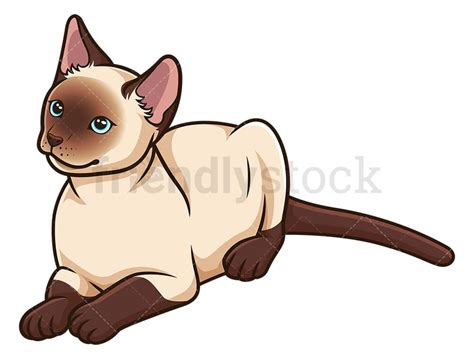 Curieux Chat Siamois Cartoon Clipart Vector Friendlystock