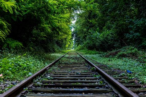 Railroad Tracks Free Stock Photo Public Domain Pictures