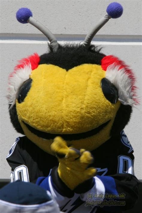 Tampa bay lightning page on flashscore.com offers livescore, results, standings and match details. Thunderbug - Tampa Bay Lightning mascot photo - Andy ...