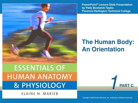 Ppt The Human Body An Orientation Powerpoint Presentation Free