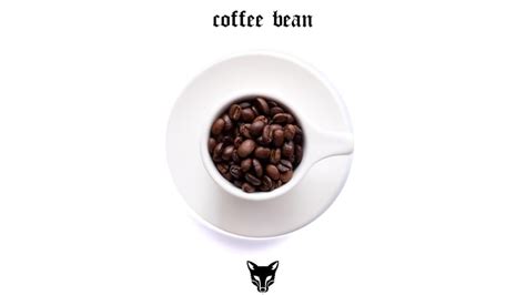 Jxckal Coffee Bean Lyrics Genius Lyrics