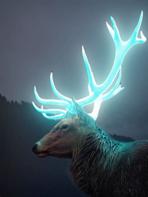 Deer With Glowing Antlersglow Effect By Slgangstar On Deviantart