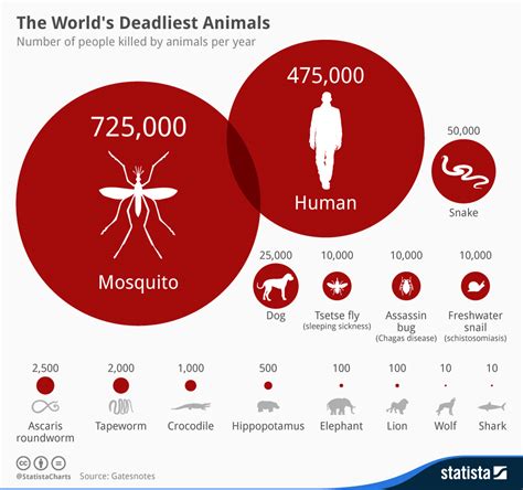 Chart The Worlds Deadliest Animals Statista