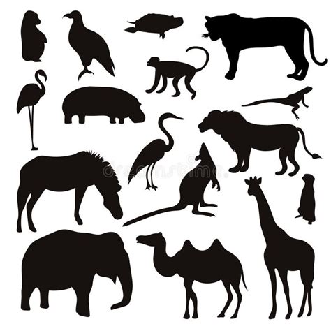 Vector Set Of Black Tropical Animals And Birds Silhouettes Stock