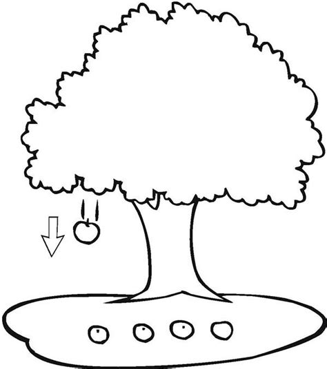Four Apple Falling Under An Apple Tree Coloring Page ...