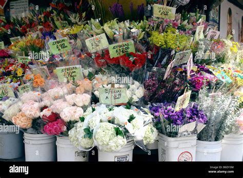 Urban Setting Of An Outdoor Flower Market Featuring A Variety Of