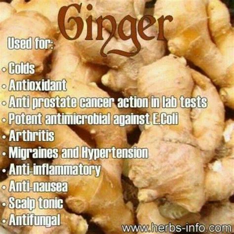 Pin By Stacey Shultz On Gardening Ginger Benefits Food Health