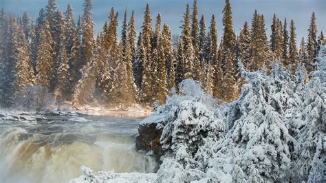 Canada Manitoba Pisew Falls Trees Snow Winter Wallpaper