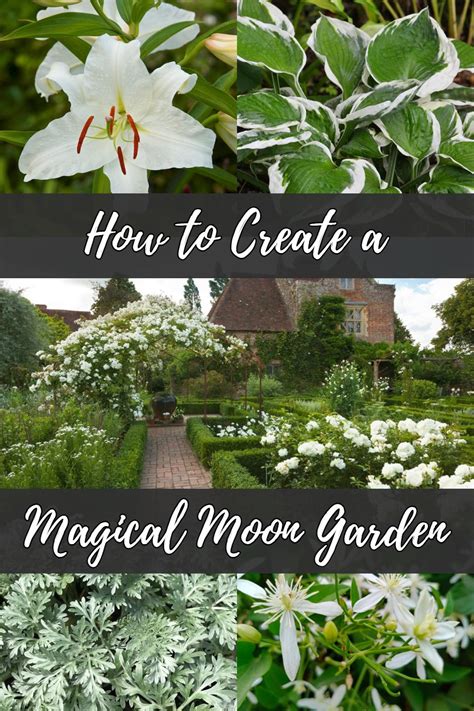 How To Create A Magical Moon Garden Moon Garden White Flowers Garden