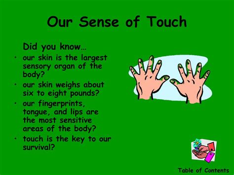 Ppt Our Five Senses Powerpoint Presentation Free Download Id4577161