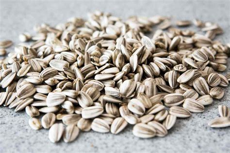 How To Harvest And Roast In Shell Sunflower Seeds