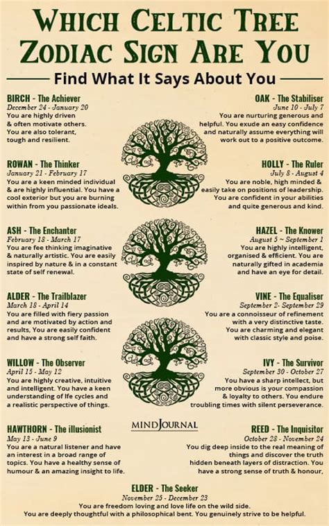 13 Celtic Tree Zodiac Signs What Is Your Zodiac Sign