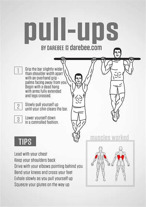 What Muscle Groups Do Pull Ups Work Photos Idea
