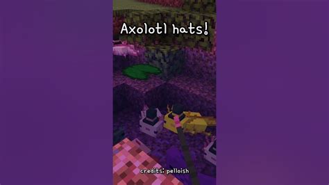 Axolotl Hats Mod Minecraft Axolotl Tiktok Burnedpeach Youtube