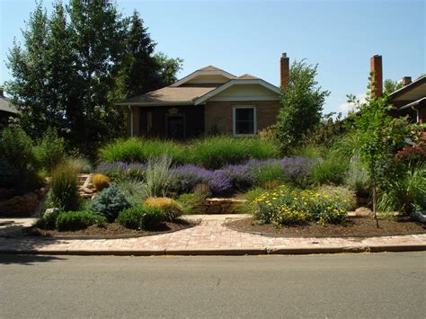 How Much Does It Cost To Xeriscape A Yard