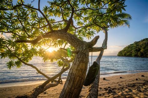 Beach Beautiful Forest Holiday Landscape Nature Photos In  Format