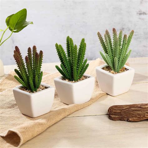 Set Of 3 Assorted Fake Succulents In Pot 7 Assorted Cactus