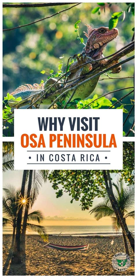 Why You Should Visit Osa Penisnsula On Your Next Vacation To Costa Rica