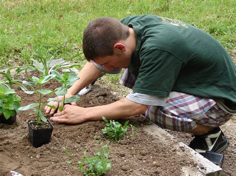 Gardening | NC State Extension