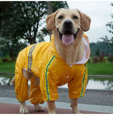 anjing pakai jas hujan hijau