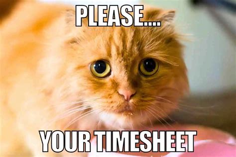 25 Funny Timesheet Memes And Reminders For The Forgetful