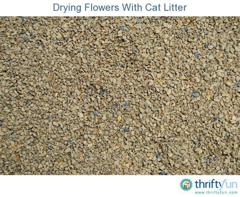 It's made from the same. Drying Flowers With Cat Litter | Dried flowers, Flowers, Cats