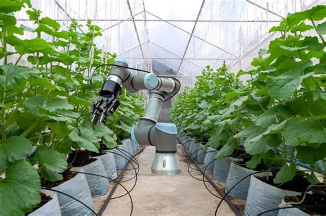 Understanding Agricultural Robots Ria Blog Ria Robotics Blog
