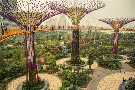 Gardens By The Bay Voyage Singapour Singapour Singapour Voyage