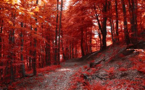 Red Landscape Wallpapers Top Free Red Landscape Backgrounds