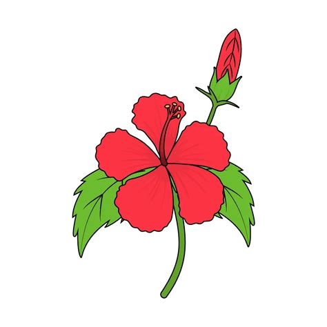 How To Draw A Hibiscus Step By Step