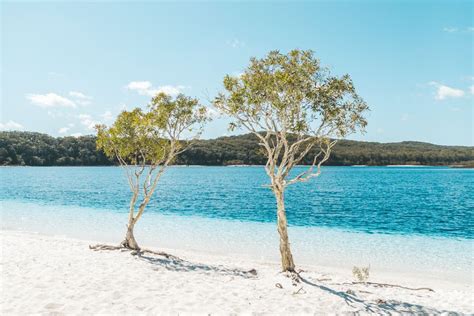 Top 10 Fraser Island Attractions Fraser