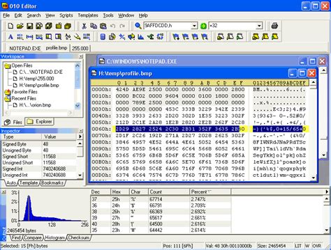 010 Editor The Professional Hex Editor