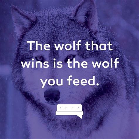 We Have The Choice To Feed An Inner Wolf Be It Negative Or Positive