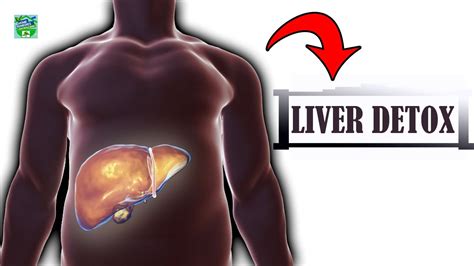 A Surprising Way To Cleanse Fatty Liver Liver Detoxification Youtube