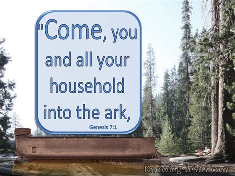 15 Bible Verses About Noahs Ark