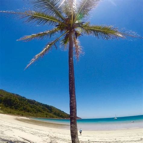 The continents through which the tropic of capricorn passes are: Shaw Island, Whitsundays | Shaw island, Tropic of capricorn, Australia continent