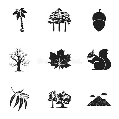 Forest Set Icons In Black Style Big Collection Of Forest Vector Symbol