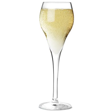 Brio Champagne Flutes 3 3oz 95ml Champagne Glasses Port Glasses Buy At Drinkstuff