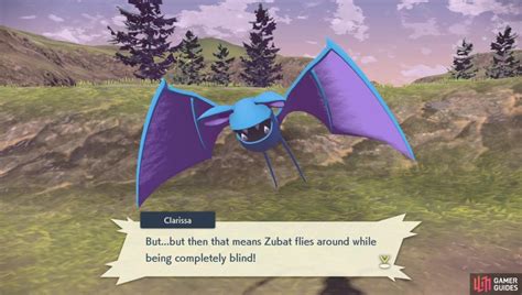 Request 9 Zubats Eyes List Requests Pokémon Legends Arceus