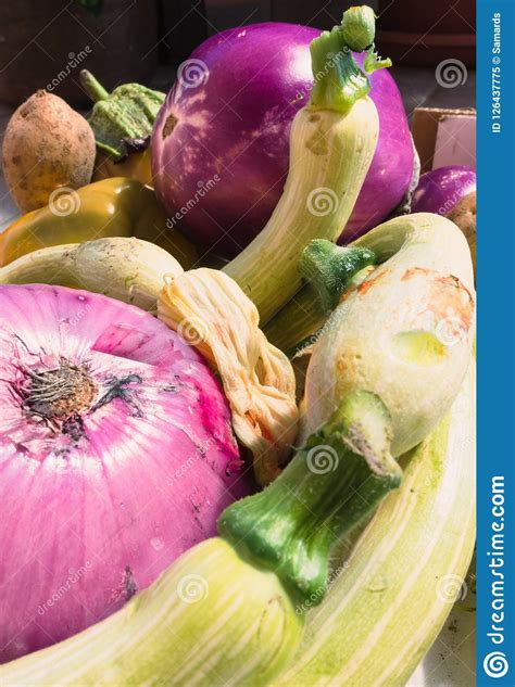 Raw Healthy Ripe Vegetables Stock Image Image Of Avocado Organic
