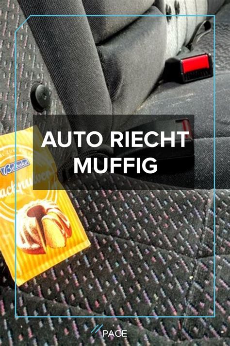 Wenn sie die wäsche schon gewaschen haben und am nächsten tag schon muffig riecht hilft nur eines. Mögliche Ursachen: Wenn dein Auto schimmlig und muffig ...