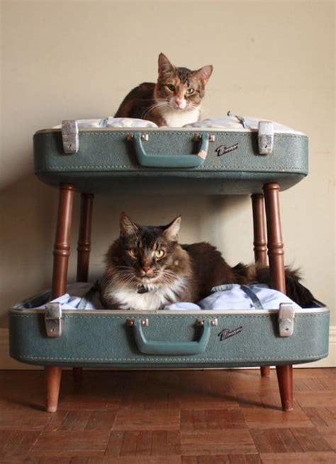 16 Simple Diys To Satisfy Your Inner Cat Lady Diy Cat Bed Cat Crate