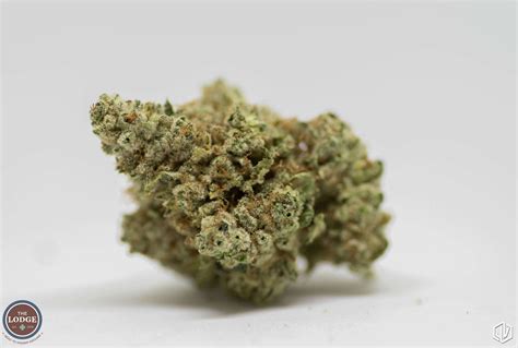 Gorilla Glue 4 Gg4 Strain Review The Lodge Cannabis Denver