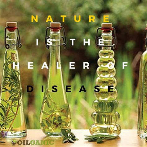 Nature Is The Healer Of Disease Essentialoils Did You Get Your