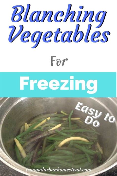 Do You Have Too Many Vegetables Want To Freeze Them And Keep Their