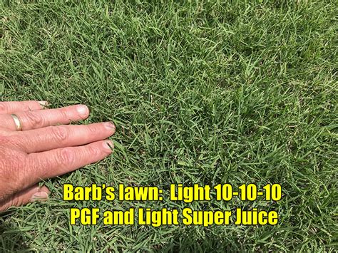 Scotts turf builder thick r lawn sun shade. How to Get Thick Green Lawn Spring Lawn Care