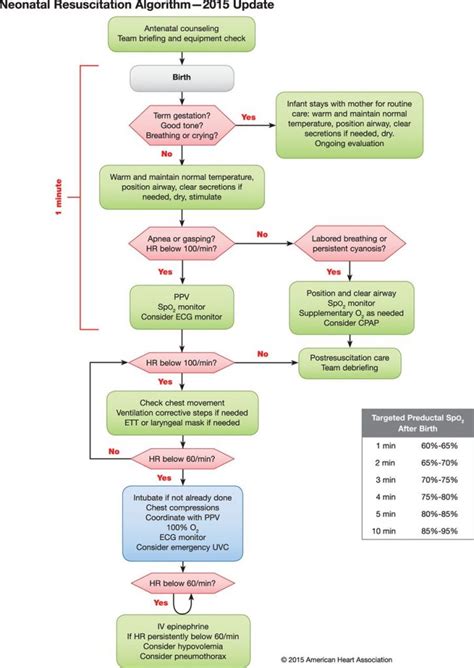 Aha 2015 Neonatal Resuscitation Algorithm First10em