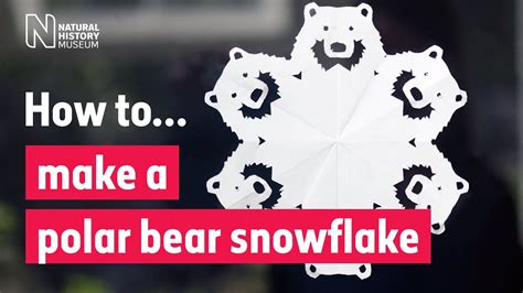 How To Make A Polar Bear Snowflake Natural History Museum Youtube