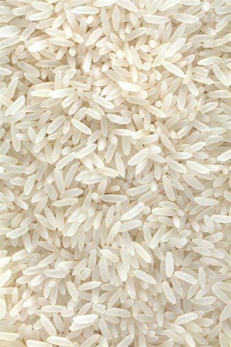 Many Grains Of White Rice Stock Image Image Of Bright 22947071